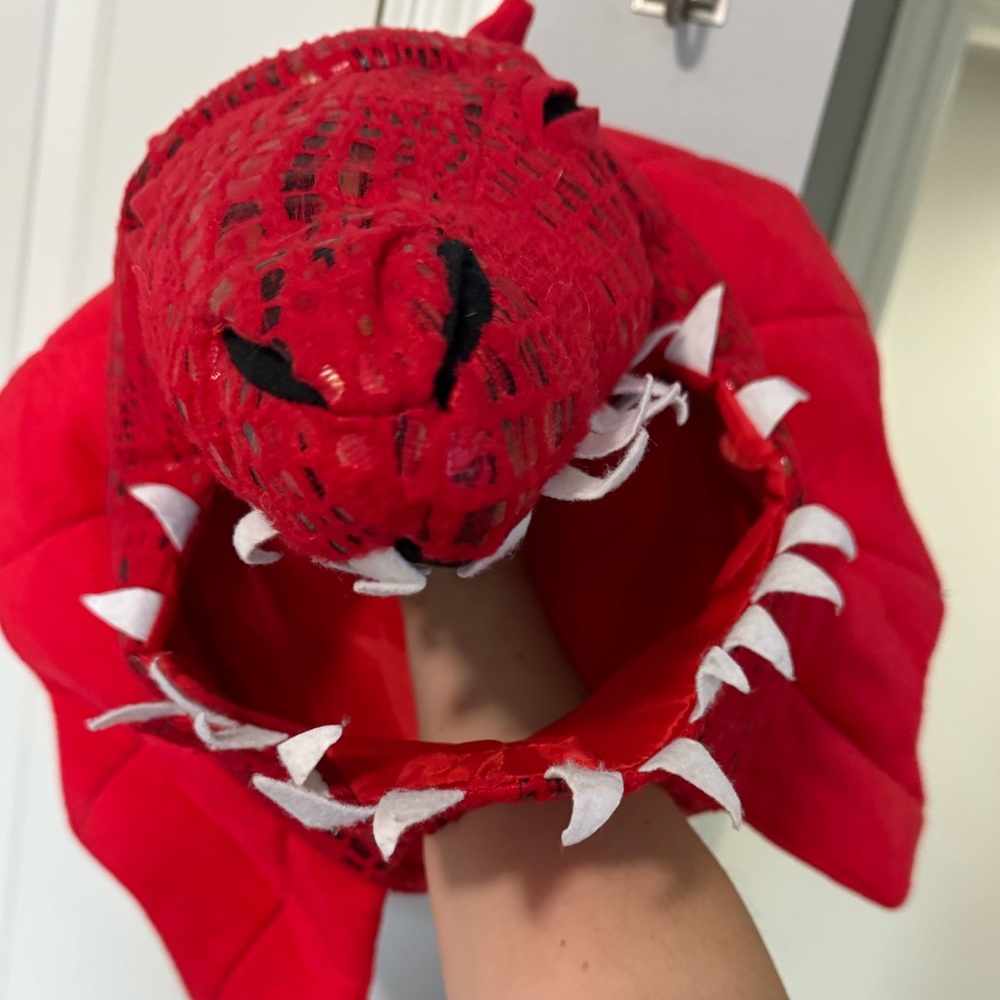 Pottery Barn Kids Red Sequin Costume - Picture 4 of 6